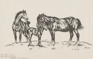 Untitled (two horses and a colt)