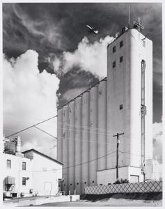 Hayden Flour Mill, Tempe AZ, 1998
