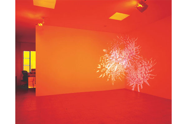 Diana Thater, Orange Room Wallflowers, 2001